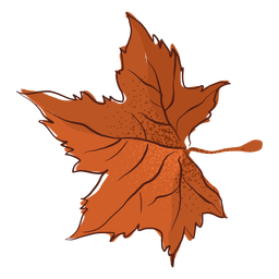Autumn maple leaf type hand drawn Autumn maple leaf type hand drawn