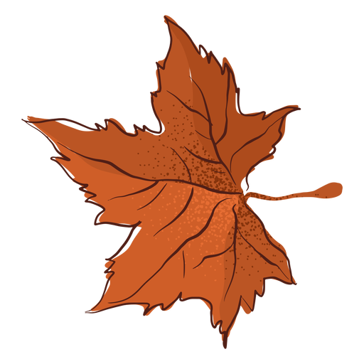 Hand gezeichnete Herbstahornblattart PNG-Design