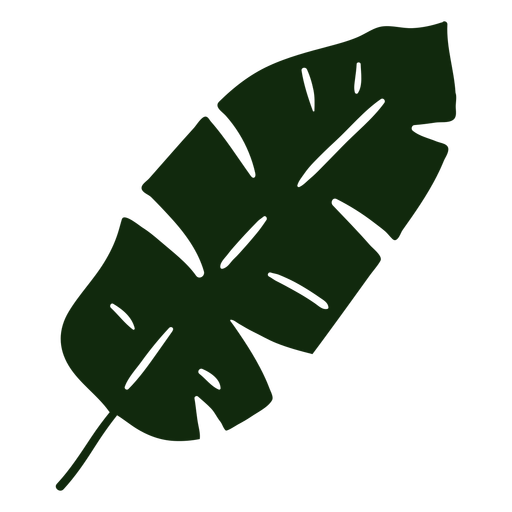 Banana leaf tropical tree hand drawn PNG Design