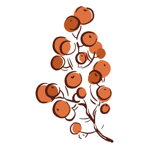 Bunter Hand gezeichneter Zweig des Beerenbaums PNG-Design