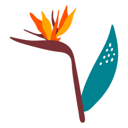 Flor ave do paraíso desenhada à mão Transparent PNG