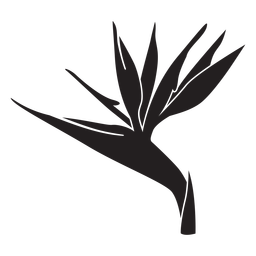 Bird of paradise flower silhouette Transparent PNG