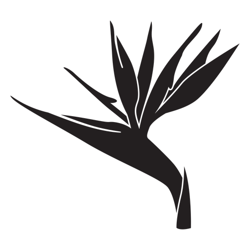 Paradiesvogel-Blumensilhouette PNG-Design