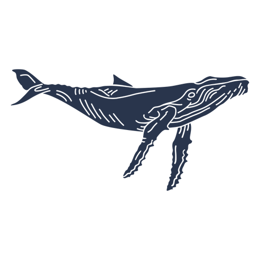 Silueta de animal marino de ballena azul Diseño PNG