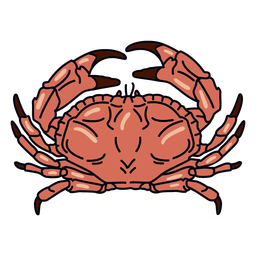 Crab stroke ocean animal