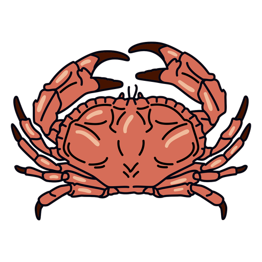Crab stroke ocean animal