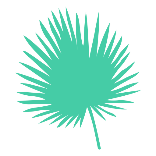 Fan palm leaf silhouette PNG Design