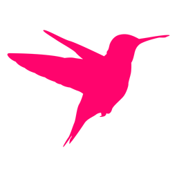 Silueta de colibrí volador Diseño PNG