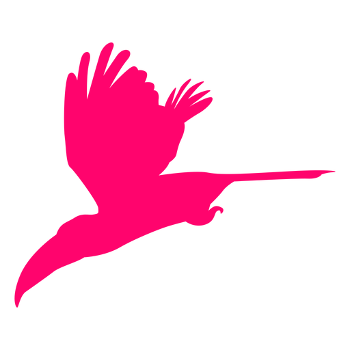 Silhueta de pássaro tucano voador Desenho PNG