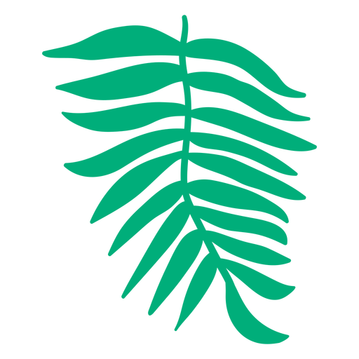 Palma de areca desenhada à mão Desenho PNG