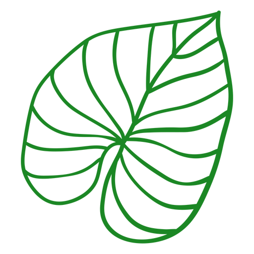 Folhas de plantas tropicais desenhadas ? m?o Desenho PNG