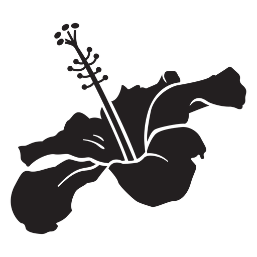 Hibiscus side view tropical flower silhouette - Transparent PNG & SVG