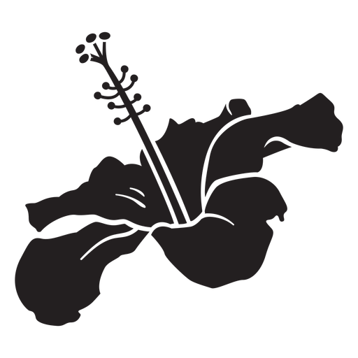 Silhueta de flor tropical de vista lateral de hibisco