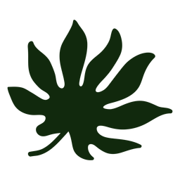 Dibujado a mano hoja tropical japonesa aralia Diseño PNG