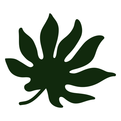 Folha tropical da arália japonesa desenhada à mão Desenho PNG