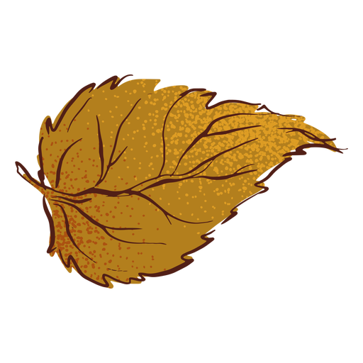 Leaf autumn fall hand drawn PNG Design
