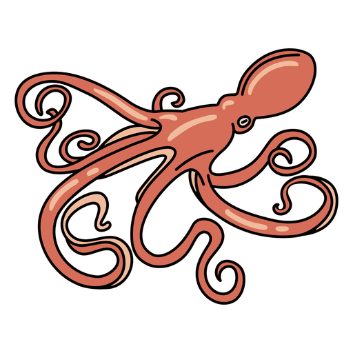 Octopus stroke sea life