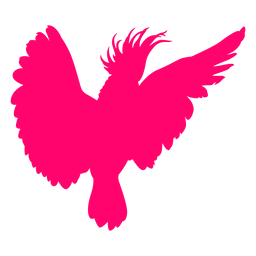 Alas abiertas cacatúa pájaro silueta Diseño PNG