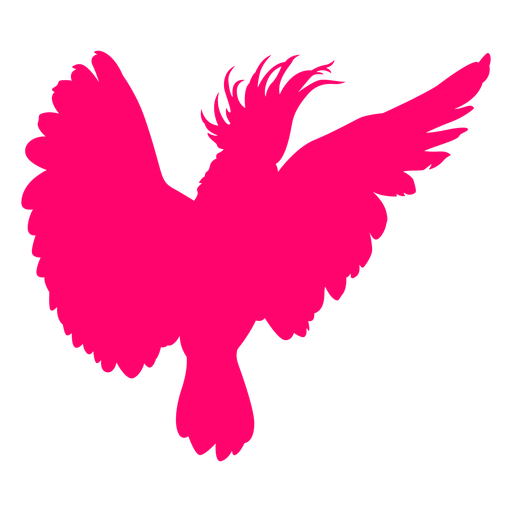 Open Wings Cockatoo Bird Silhouette Transparent Png Svg Vector File