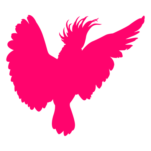 Open wings cockatoo bird silhouette