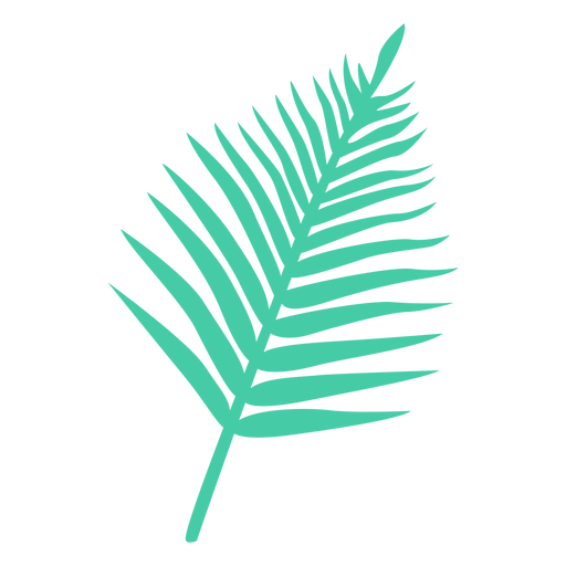 Silueta tropical de hoja de palma Diseño PNG