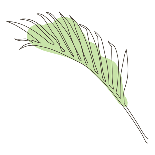 Desenho de desenho de linha em folha de palmeira
