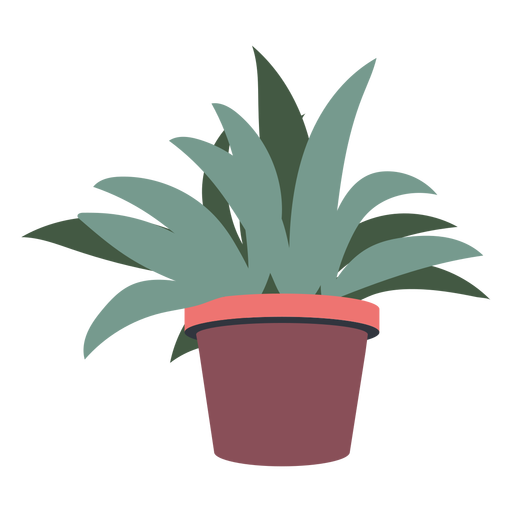 Pointed leaves plant pot flat PNG Design