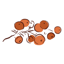 Dibujado a mano arbusto ornamental de frutos rojos Diseño PNG
