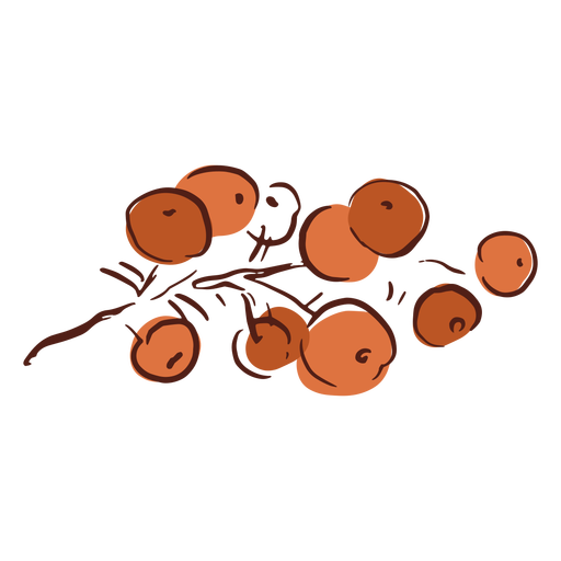 Zierbuschhand der roten Beeren gezeichnet PNG-Design