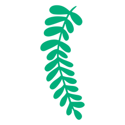 Dibujado a mano planta de hoja de helecho real Diseño PNG