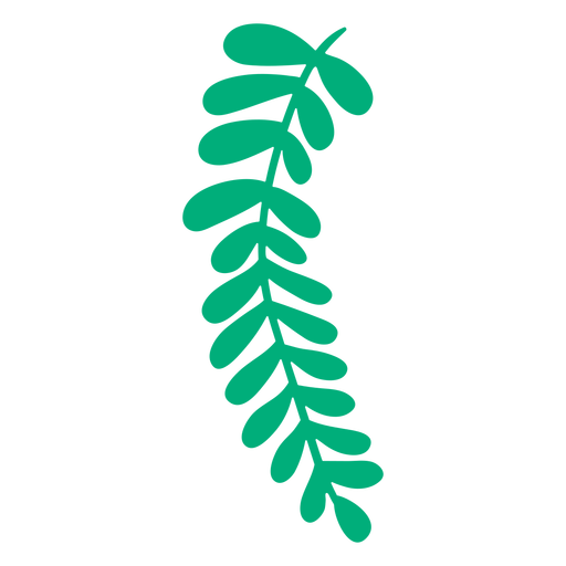 Königliche Farnblattpflanze Hand gezeichnet PNG-Design
