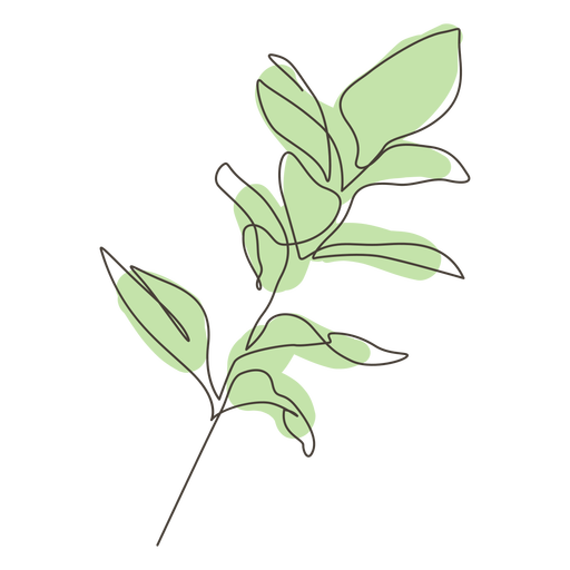 Rubber fig plant leaves stroke - Transparent PNG & SVG vector file