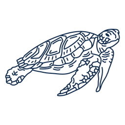 Tartaruga marinha sobre o oceano Desenho PNG