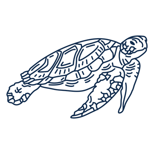 Download Sea Turtle Ocean Animal Stroke Transparent Png Svg Vector File