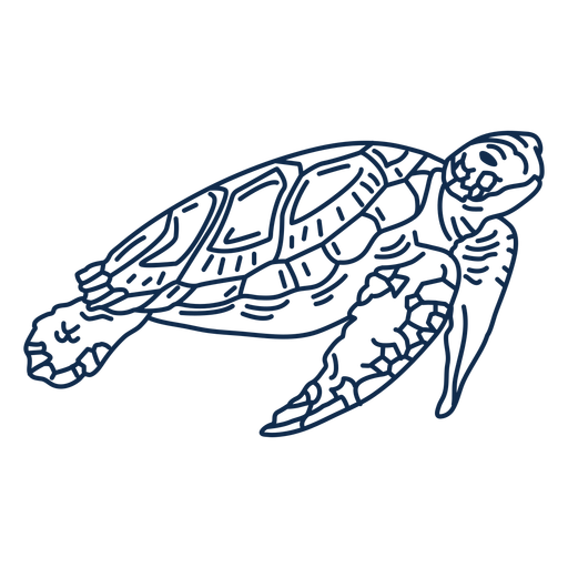 Tartaruga marinha sobre o oceano Desenho PNG