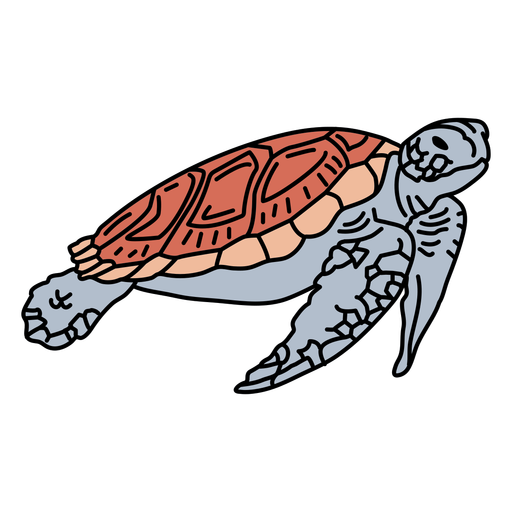 Sea turtle sea life stroke PNG Design