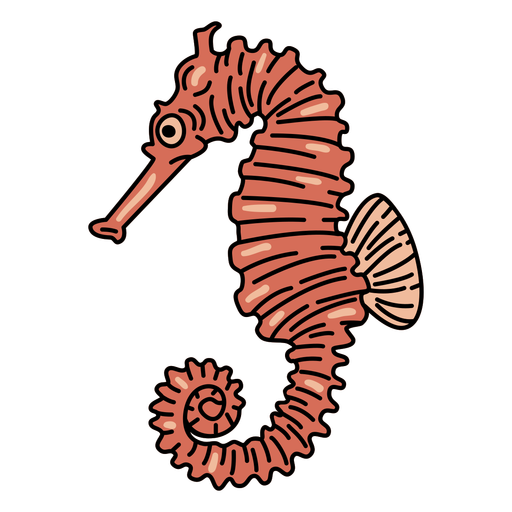 Download Seahorse fish stroke - Transparent PNG & SVG vector file