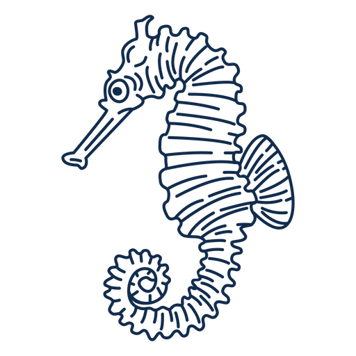 Caballito de mar océano animal trazo Diseño PNG