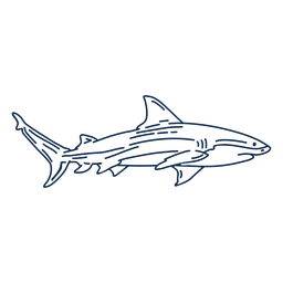 Animal com traço de tubarão Desenho PNG