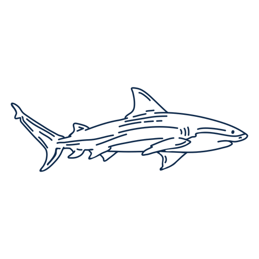 Shark stroke animal PNG Design