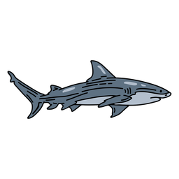 Shark stroke fish PNG Design Transparent PNG