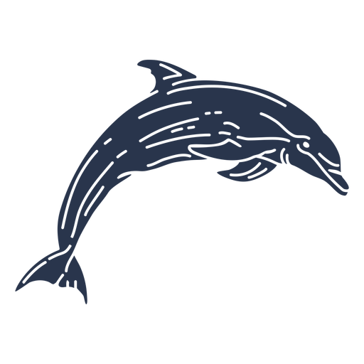 Silhouette dolphin aquatic mammal