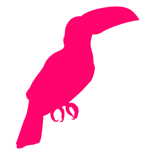 Silhueta de pássaro tucano sentado Desenho PNG