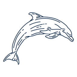 Stroke dolphin animal aquático Desenho PNG