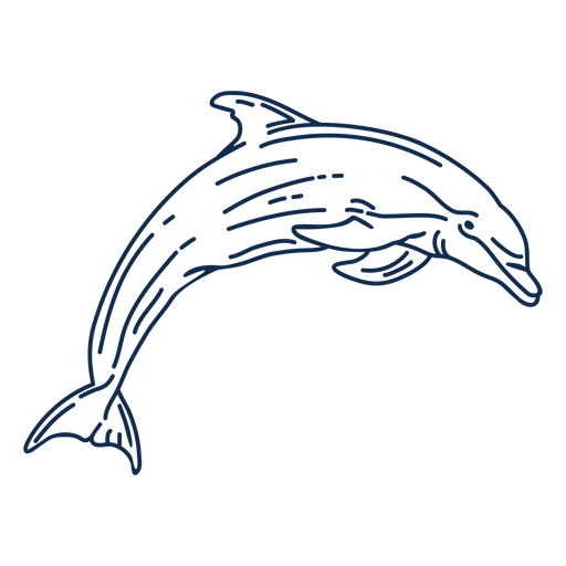 Stroke Delphin aquatic animall PNG-Design