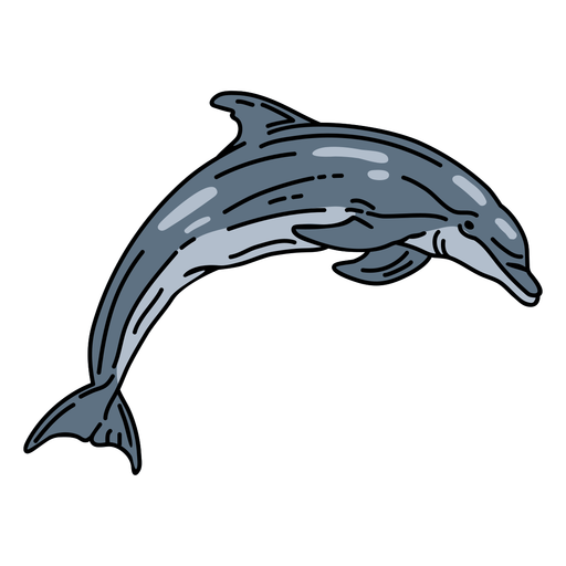 Golfinho de colisão mamífero aquático Desenho PNG
