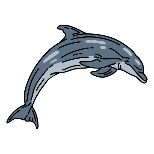 Stroke dolphin aquatic mammal PNG Design