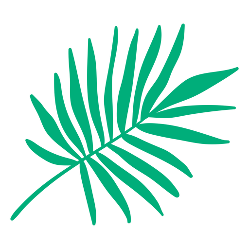 Folha de palmeira tropical desenhada à mão Desenho PNG