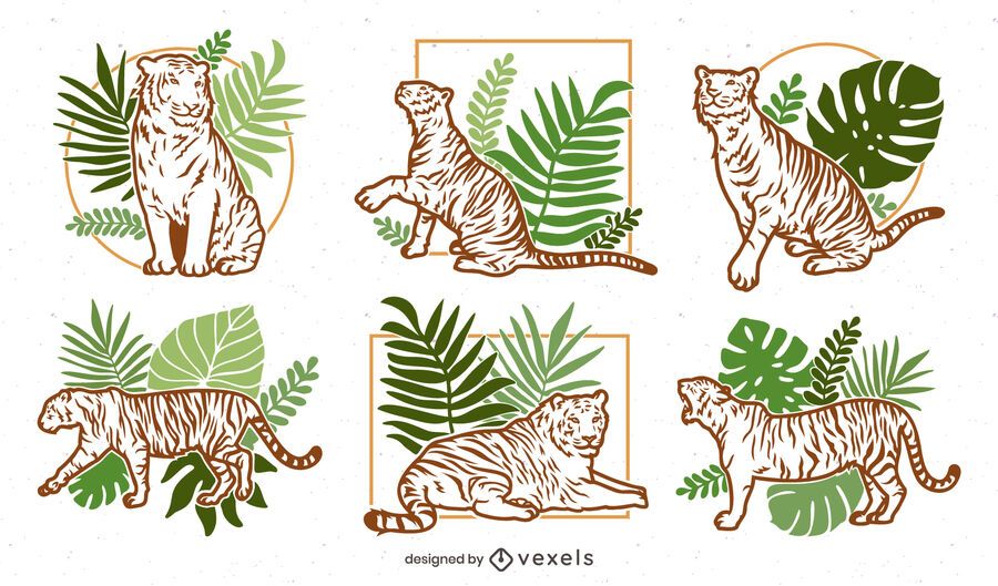 Pacote de design de ilustração da natureza Tiger Pacote de design de ilustração da natureza Tiger