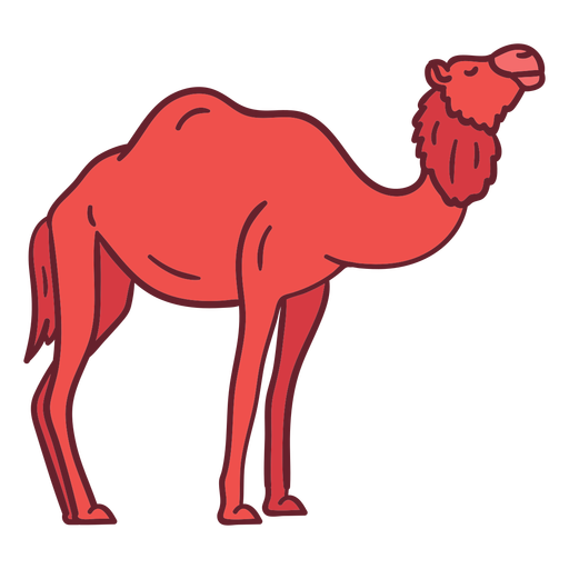 Animal camelo plana Desenho PNG